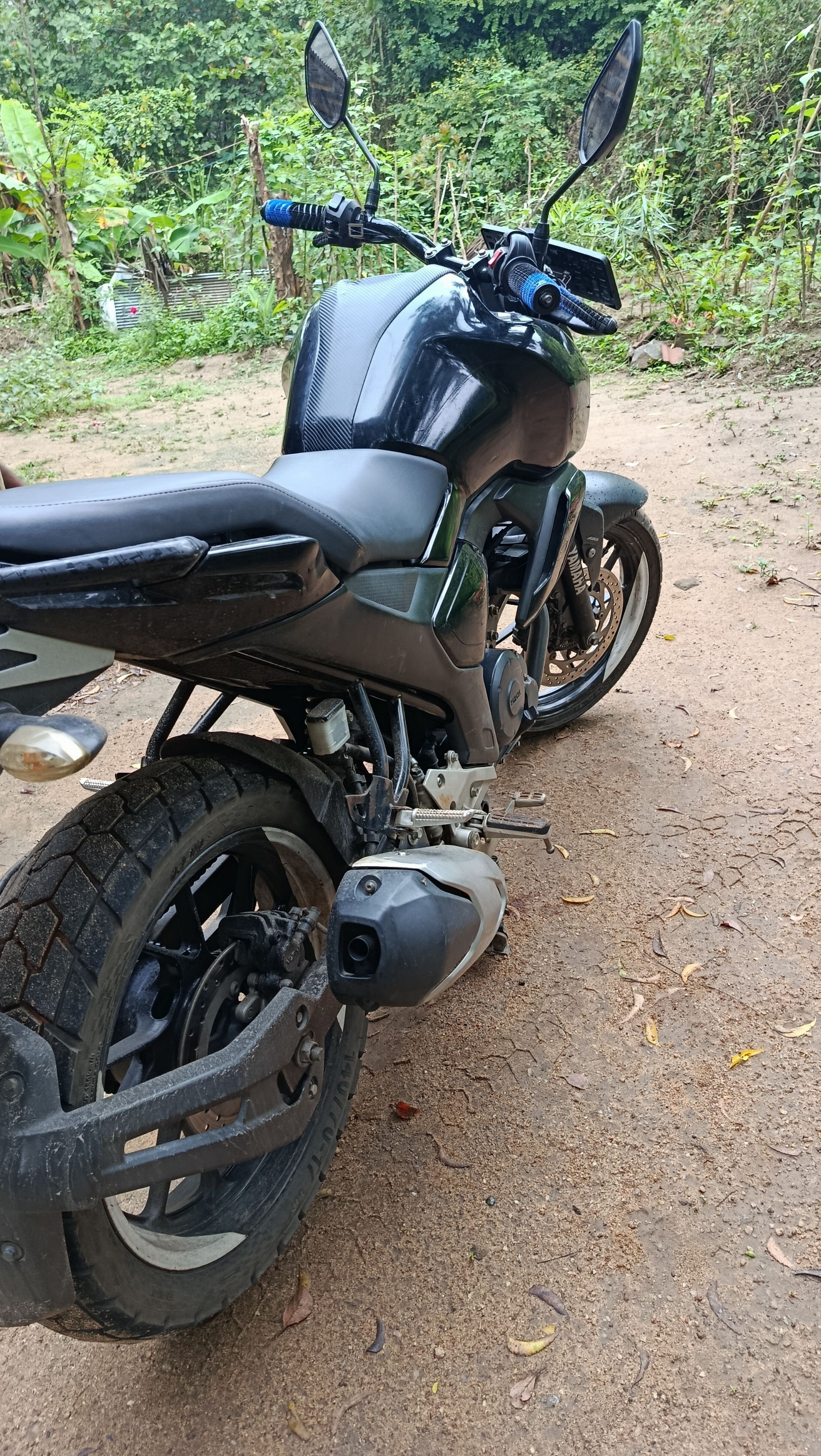 FZ V3 2019